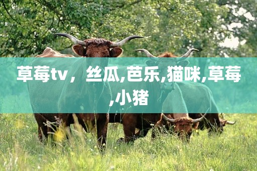 草莓tv，丝瓜,芭乐,猫咪,草莓,小猪