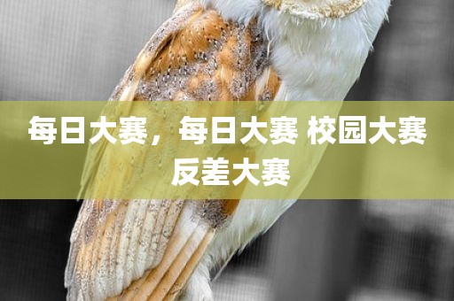 每日大赛，每日大赛 校园大赛 反差大赛