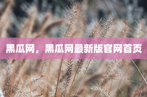 黑瓜网，黑瓜网最新版官网首页