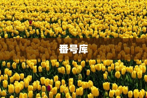 番号库