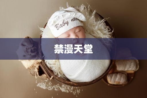 禁漫天堂