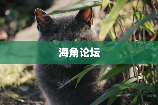 海角论坛