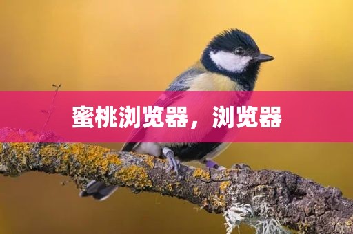 蜜桃浏览器，浏览器