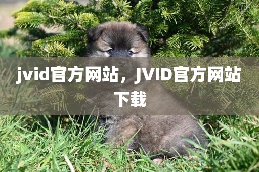 jvid官方网站，JVID官方网站下载