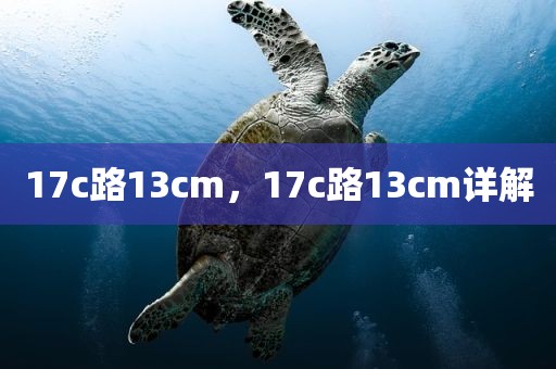 17c路13cm，17c路13cm详解