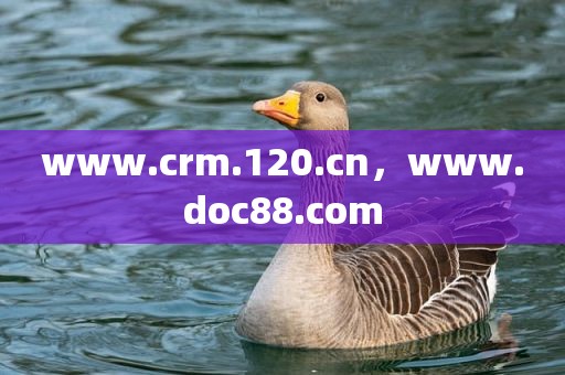 www.crm.120.cn，www.doc88.com