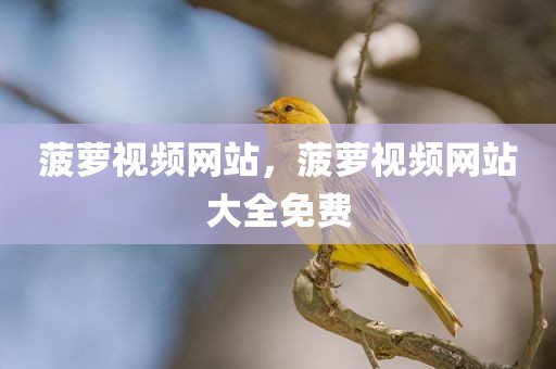 菠萝视频网站，菠萝视频网站大全免费