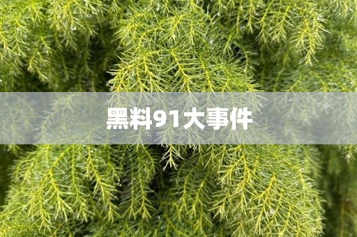 黑料91大事件