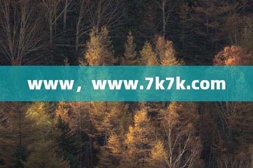 www，www.7k7k.com