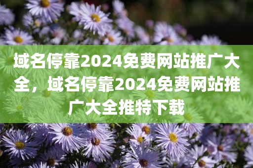 域名停靠2024免费网站推广大全，域名停靠2024免费网站推广大全推特下载