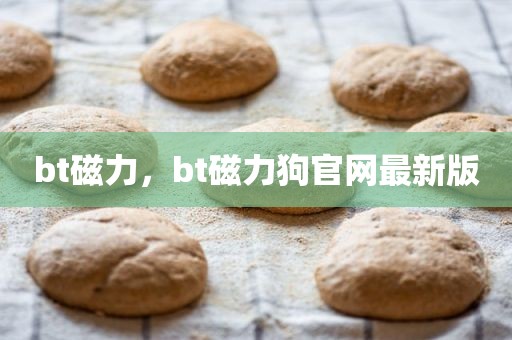 bt磁力，bt磁力狗官网最新版