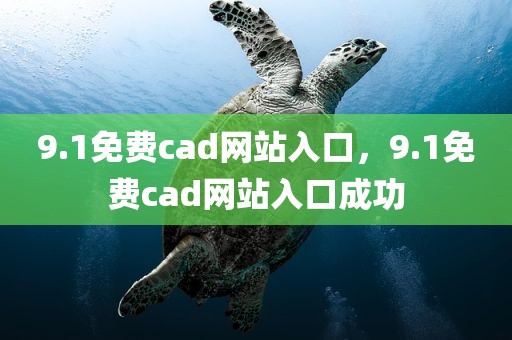 9.1免费cad网站入口，9.1免费cad网站入口成功