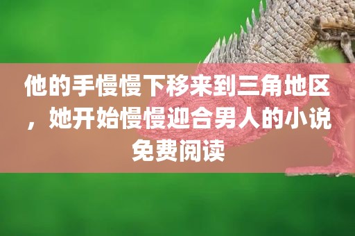 他的手慢慢下移来到三角地区，她开始慢慢迎合男人的小说免费阅读