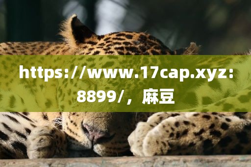 https://www.17cap.xyz:8899/，麻豆