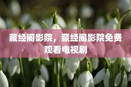 藏经阁影院，藏经阁影院免费观看电视剧