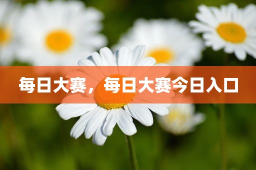 每日大赛，每日大赛今日入口