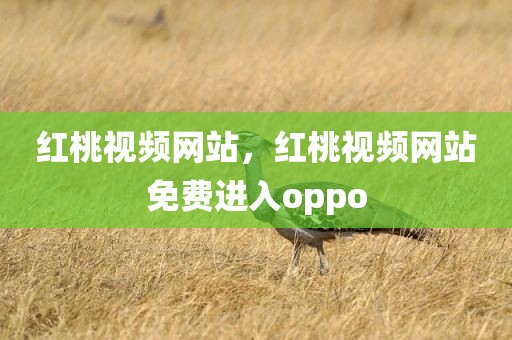 红桃视频网站，红桃视频网站免费进入oppo
