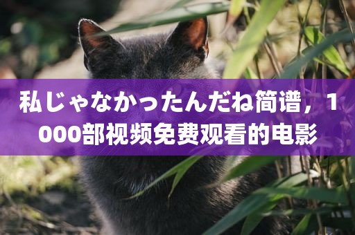私じゃなかったんだね简谱，1000部视频免费观看的电影