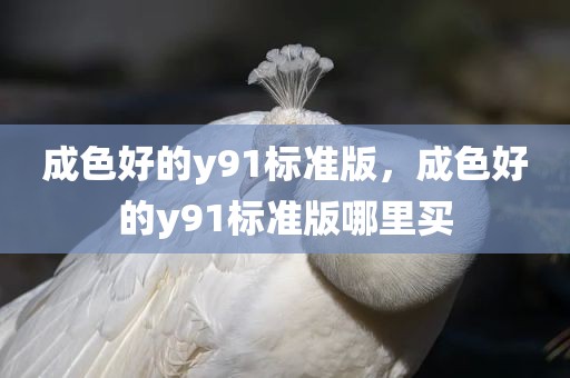 成色好的y91标准版，成色好的y91标准版哪里买