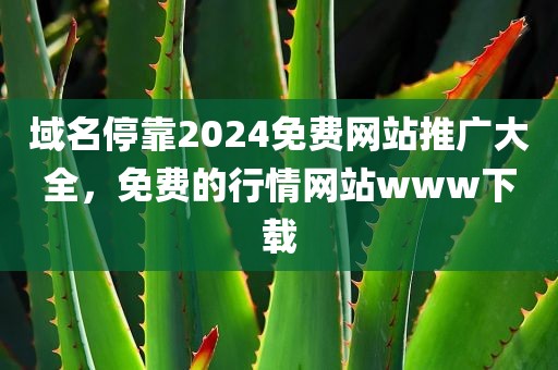 域名停靠2024免费网站推广大全，免费的行情网站www下载