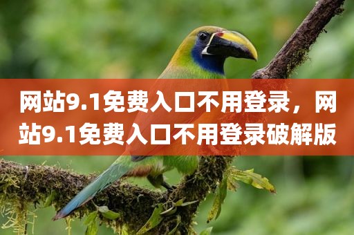 网站9.1免费入口不用登录，网站9.1免费入口不用登录破解版
