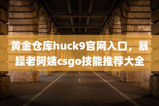 黄金仓库huck9官网入口，暴躁老阿姨csgo技能推荐大全