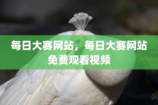 每日大赛网站，每日大赛网站免费观看视频