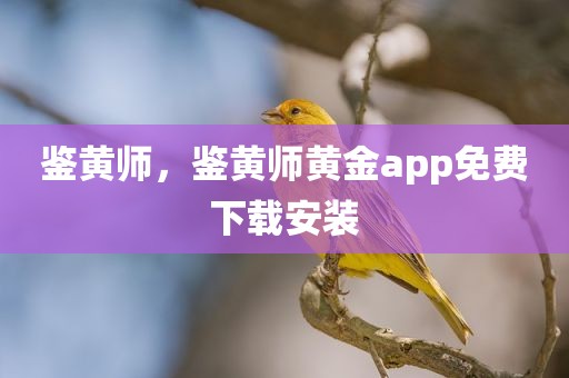 鉴黄师，鉴黄师黄金app免费下载安装