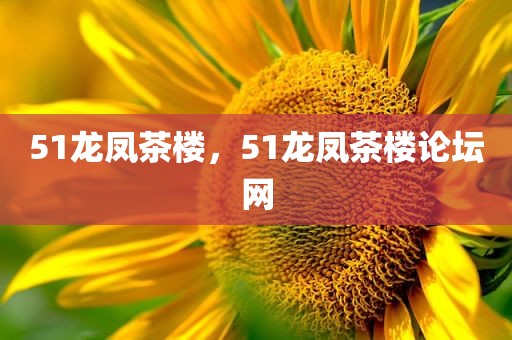 51龙凤茶楼，51龙凤茶楼论坛网