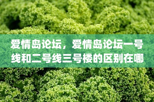 爱情岛论坛，爱情岛论坛一号线和二号线三号楼的区别在哪