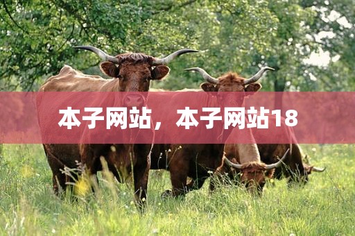 本子网站，本子网站18