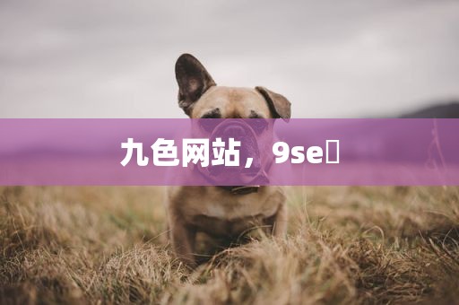 九色网站，9se 