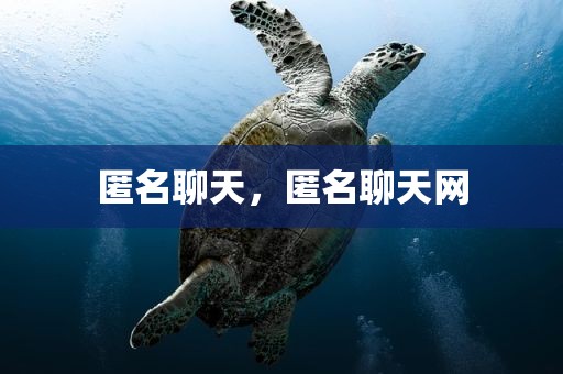 匿名聊天，匿名聊天网