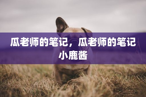 瓜老师的笔记，瓜老师的笔记小鹿酱