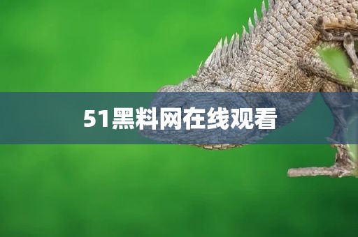 51黑料网在线观看