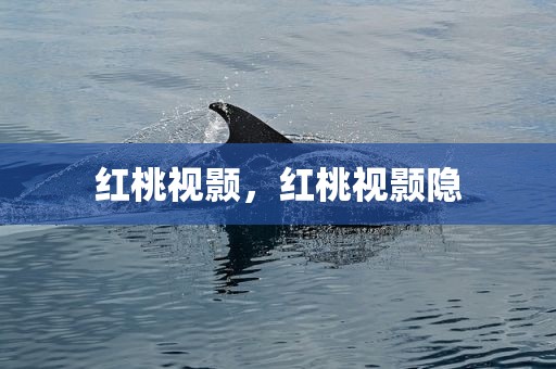 红桃视颢，红桃视颢隐