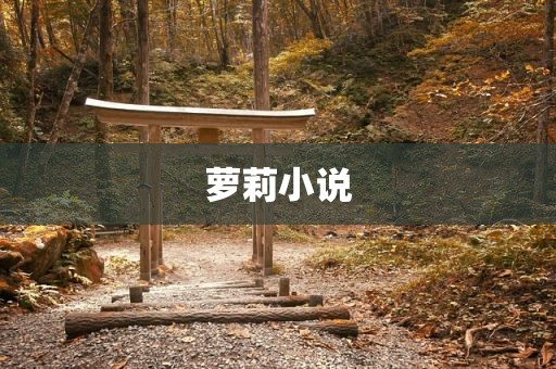 萝莉小说