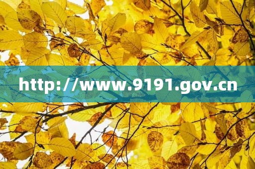 http://www.9191.gov.cn