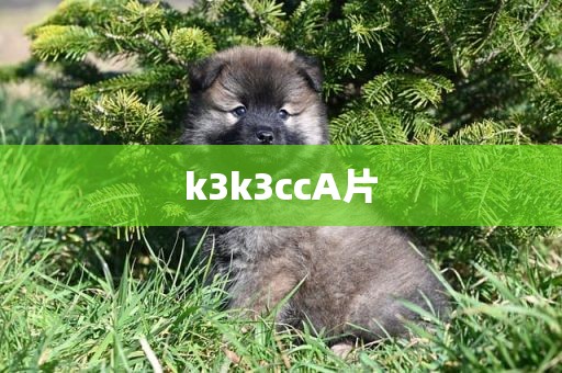 k3k3ccA片