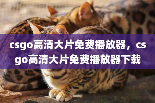 csgo高清大片免费播放器，csgo高清大片免费播放器下载