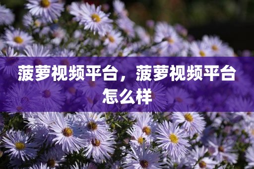 菠萝视频平台，菠萝视频平台怎么样