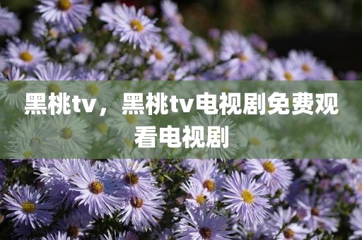黑桃tv，黑桃tv电视剧免费观看电视剧
