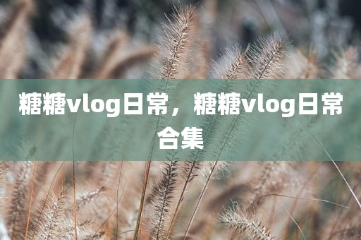 糖糖vlog日常，糖糖vlog日常合集