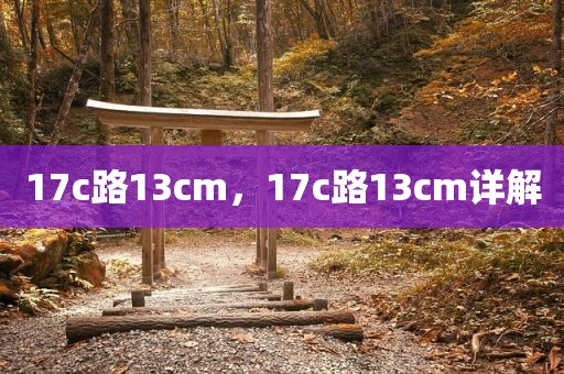17c路13cm，17c路13cm详解