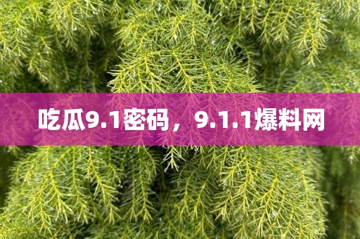 吃瓜9.1密码，9.1.1爆料网