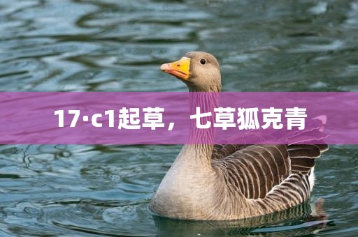 17·c1起草，七草狐克青
