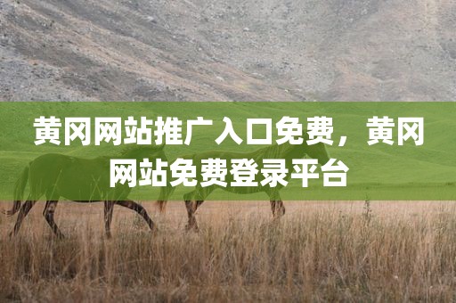 黄冈网站推广入口免费，黄冈网站免费登录平台