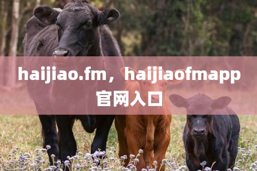haijiao.fm，haijiaofmapp官网入口