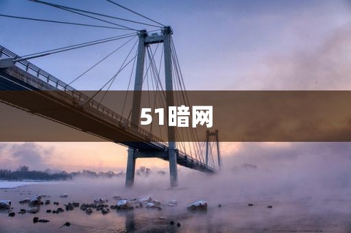 51暗网