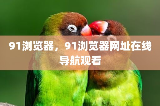 91浏览器，91浏览器网址在线导航观看